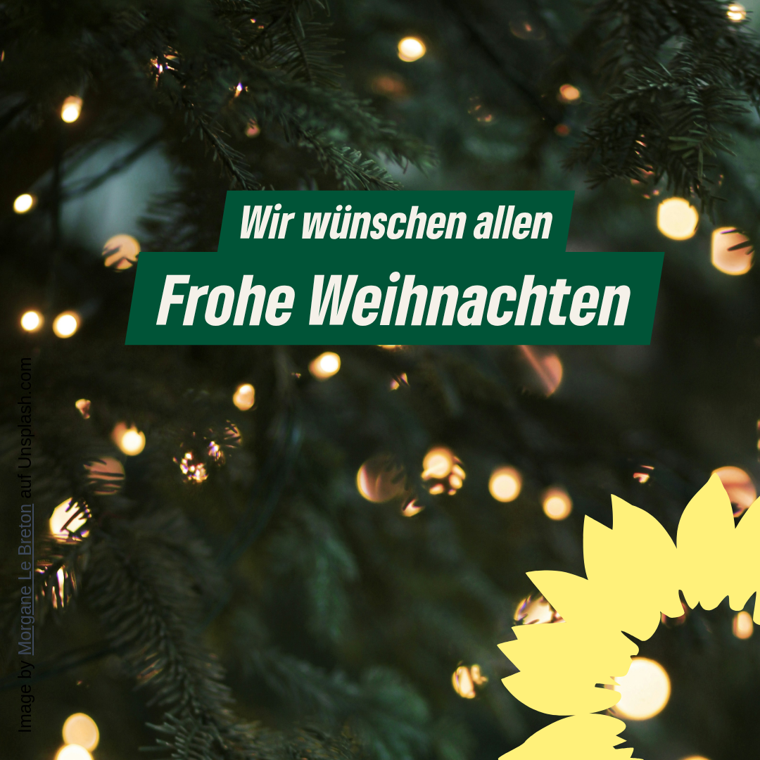 Weihnachtsgruß vor Tannengrün 