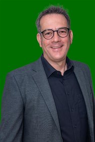 Michael Henrichs, Ratsmitglied